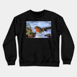 Little red robin in the snow at Christmas time Crewneck Sweatshirt